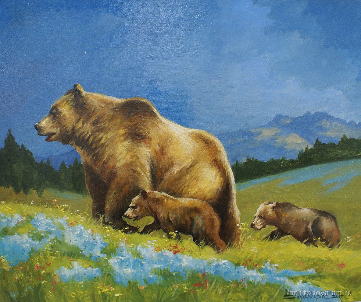 Медведица