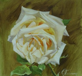 Картина "Роза в солнечном свете"