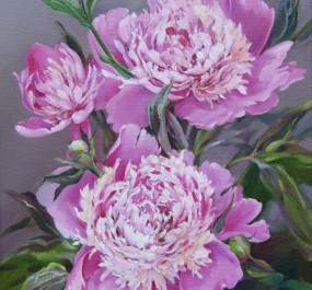 Картина "Этюд с розовыми пионами"