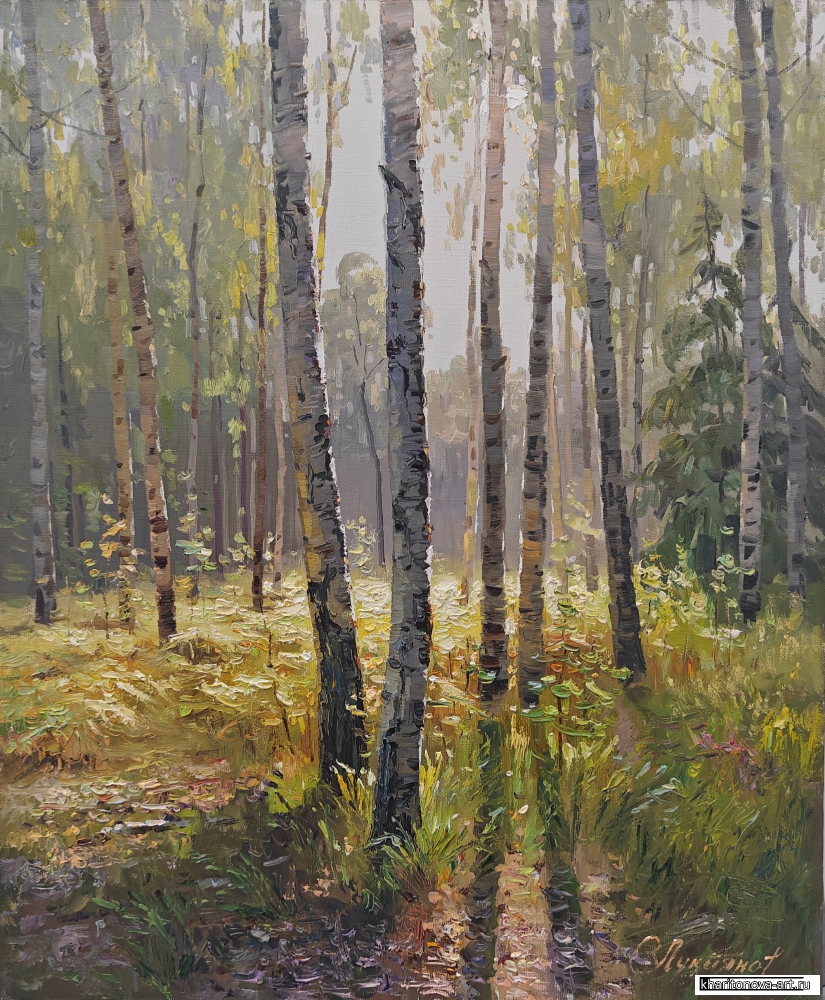 Утро в лесу
