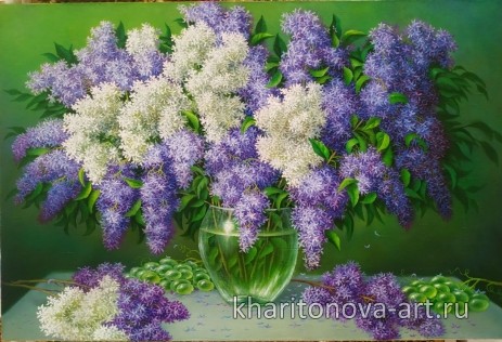 Сирень