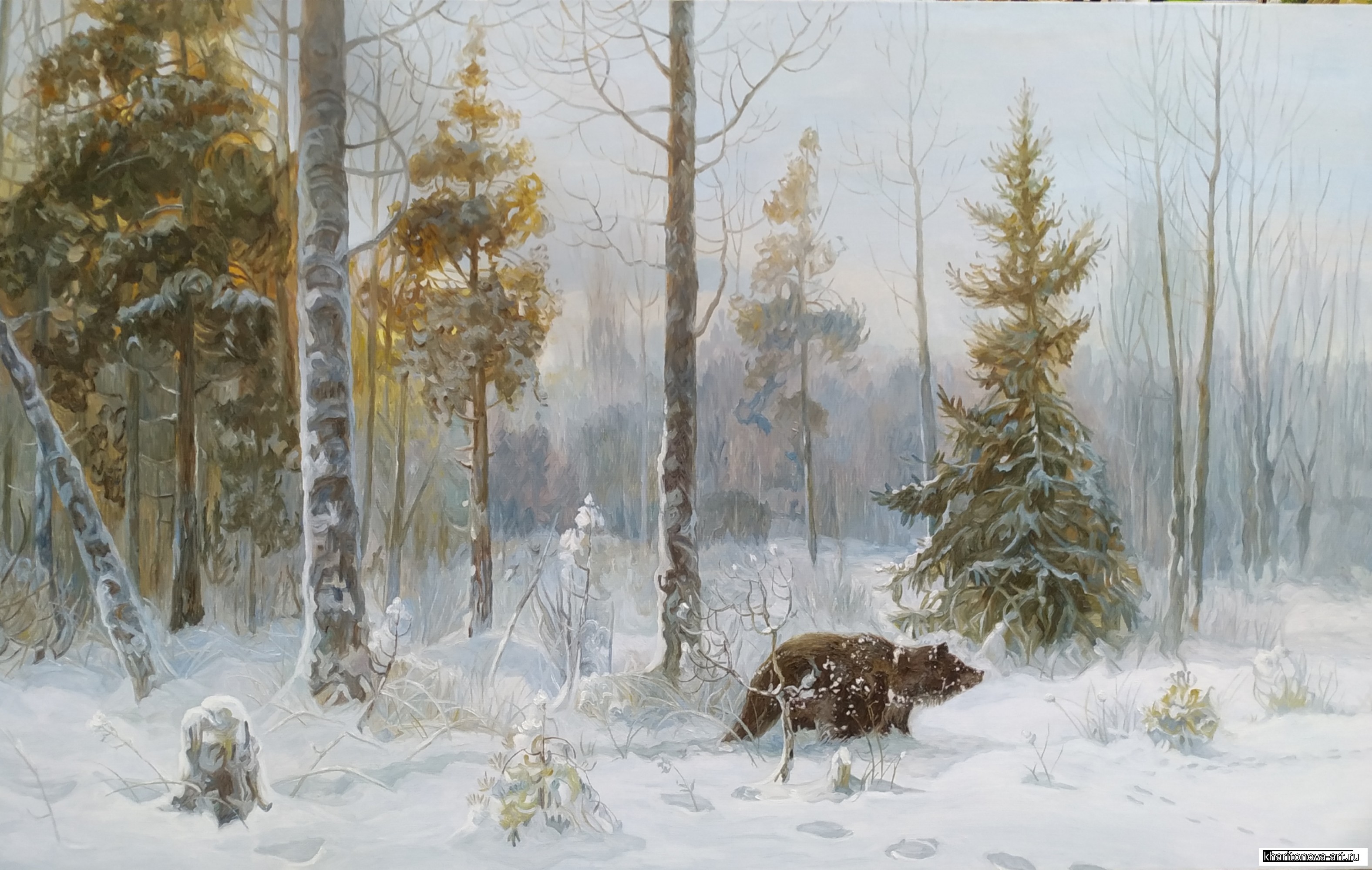 Медведь