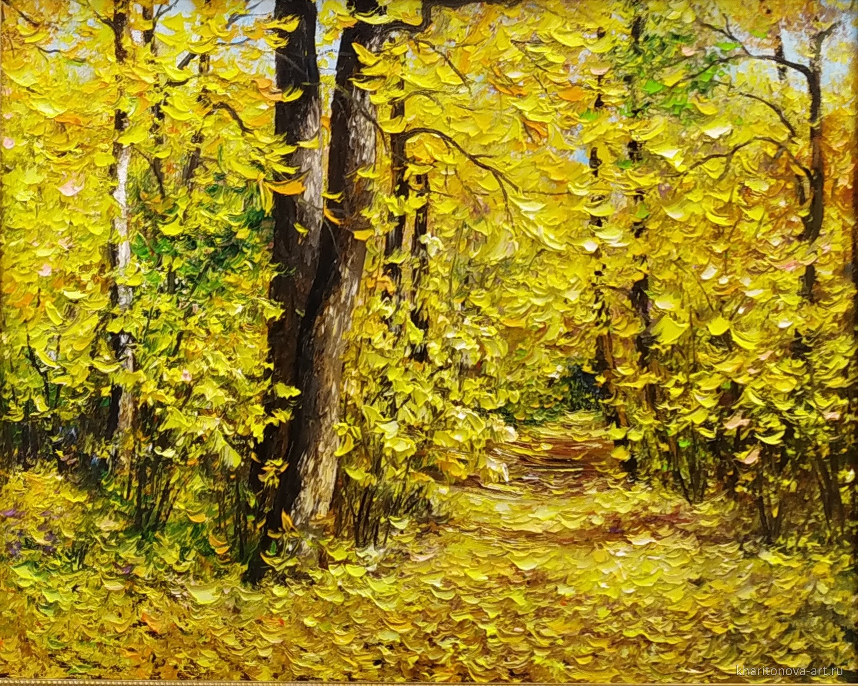 Дорожка в лес