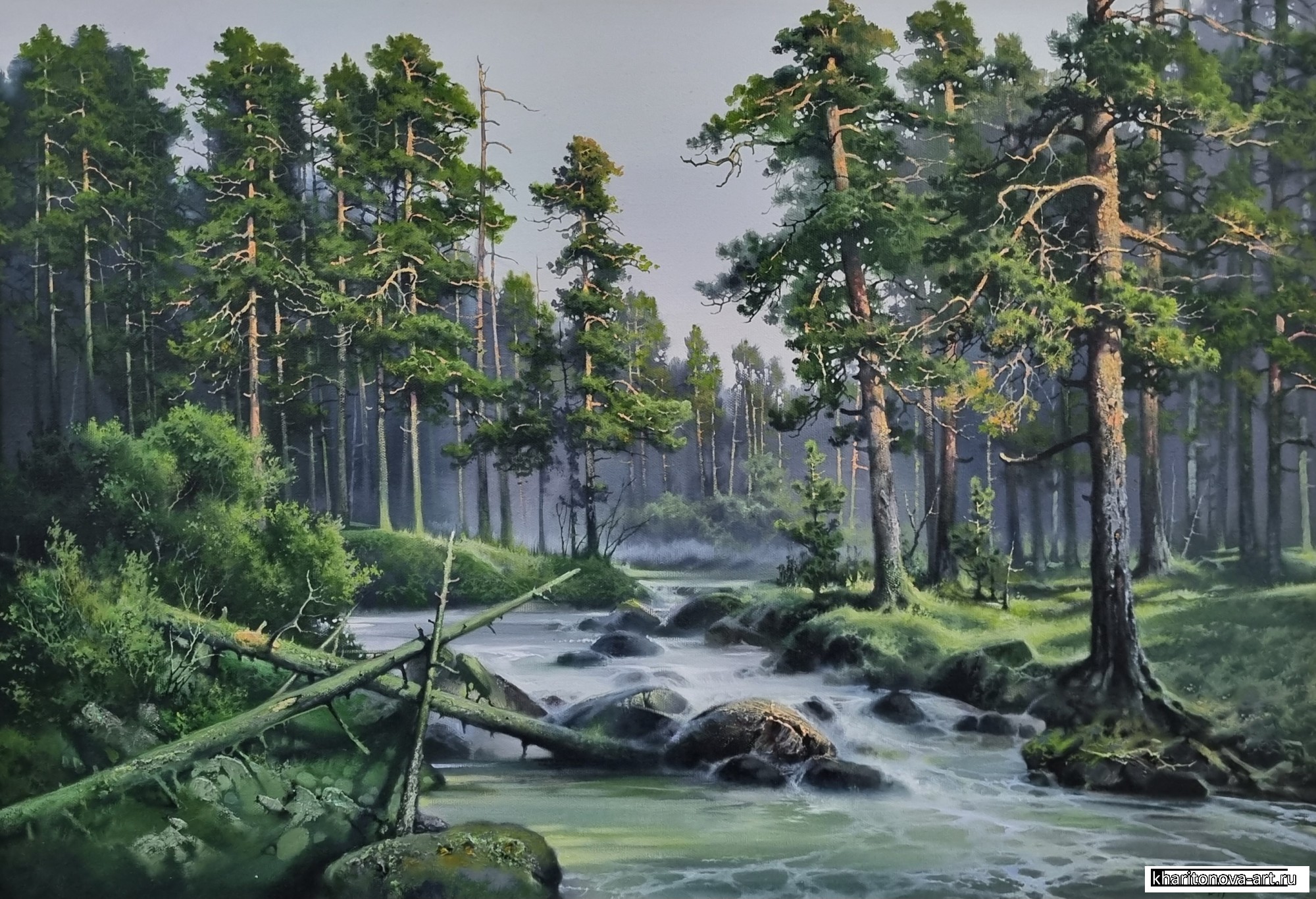 Лесная речка