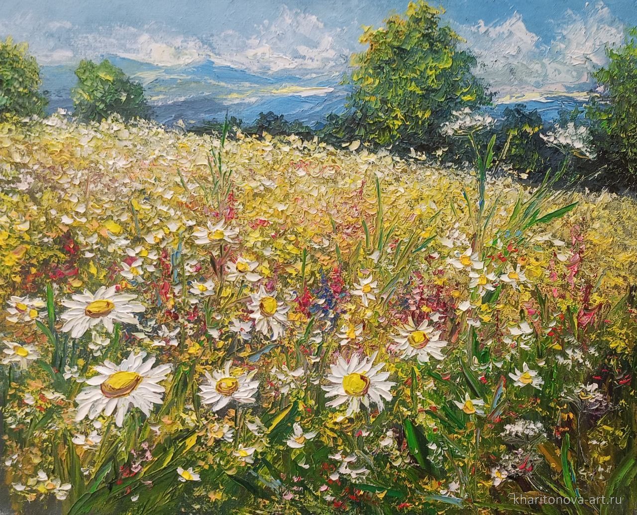 Ромашковое поле